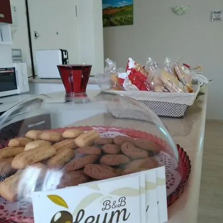 Bed & Breakfast Oleum *