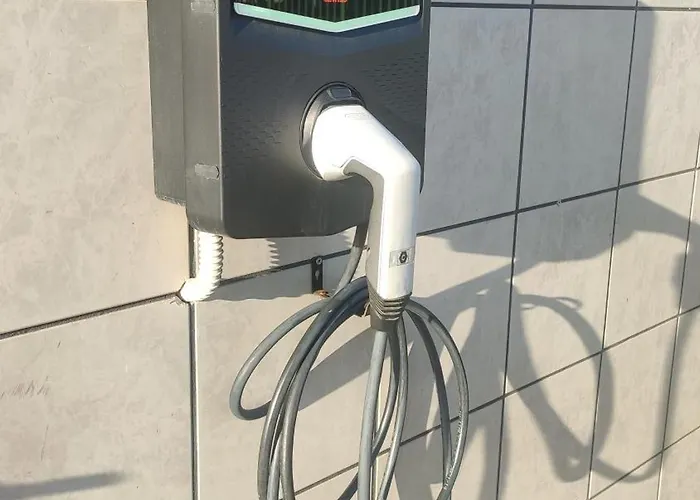 Oleum 3* טרליצי