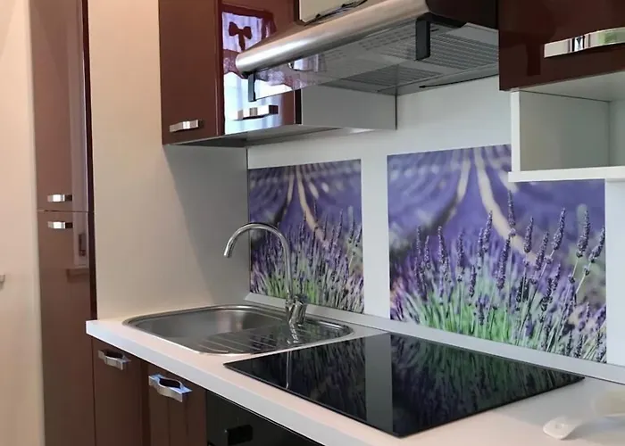 Oleum 3* טרליצי